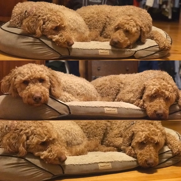 Meet your Posher, M - Picture 1 of 1